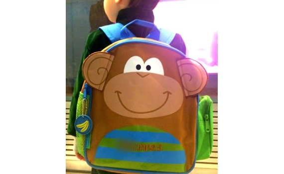 Toddler backpack