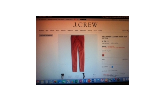 Stunning leather pants from J Crew