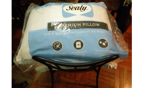 Sealy枕頭