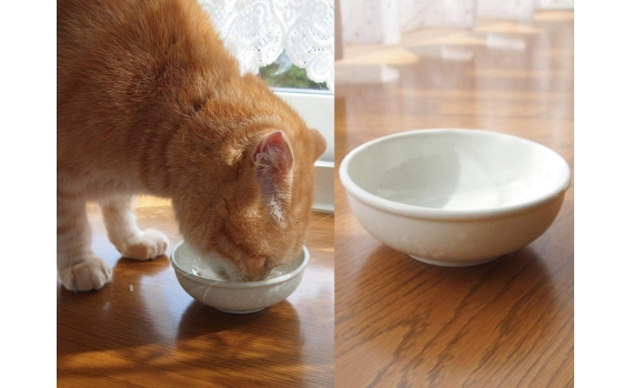 日本 Aukatz 寵物健康飲水碗
