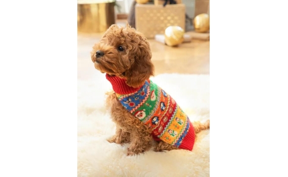  CHRISTMAS FAIR ISLE DOG JUMPER