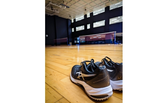 Excellent indoor court shoes 