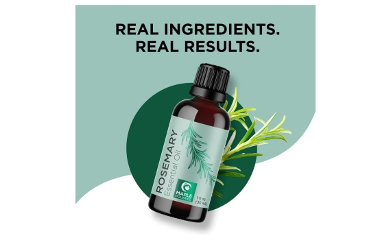 Getting Pure Rosemary Oil with Lotpost! 